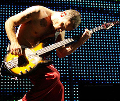 flea